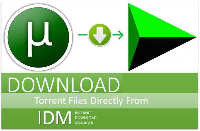 utorrent 2019 free download